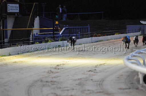 dogsaug8_0034.jpg - (C)S.FARNDON