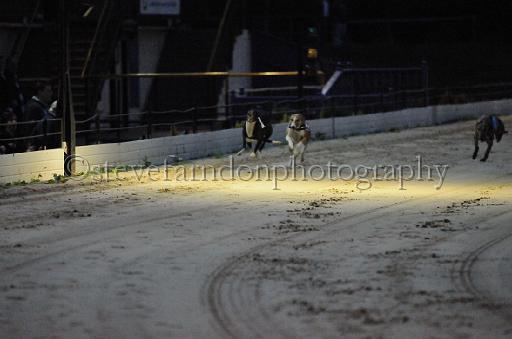dogsaug8_0035.jpg - (C)S.FARNDON