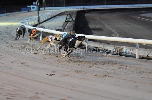 dogsaug8_0036.jpg - (C)S.FARNDON