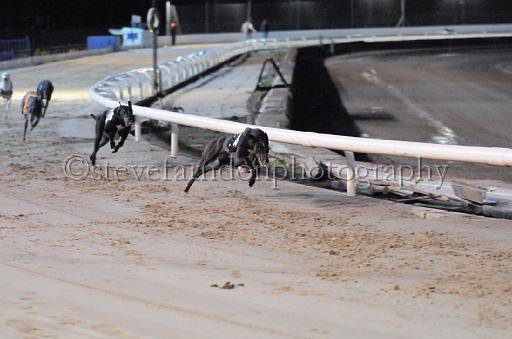 dogsaug8_0050.jpg - (C)S.FARNDON