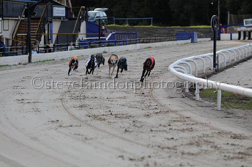 dogsaug8_0058.jpg - (C)S.FARNDON