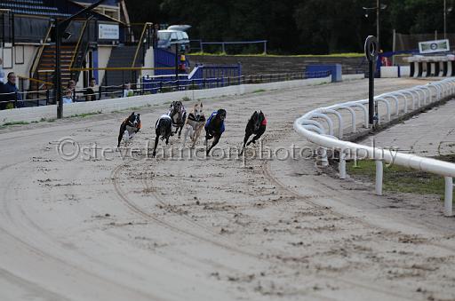 dogsaug8_0059.jpg - (C)S.FARNDON