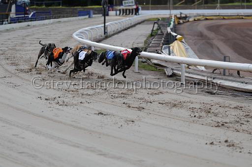 dogsaug8_0061.jpg - (C)S.FARNDON