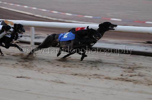 dogsaug8_0064.jpg - (C)S.FARNDON