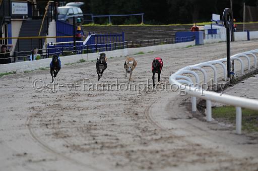 dogsaug8_0069.jpg - (C)S.FARNDON