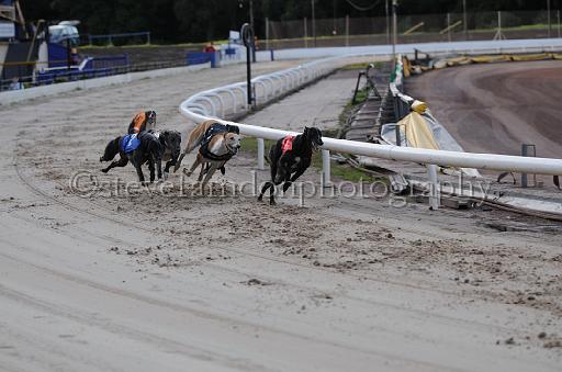dogsaug8_0070.jpg - (C)S.FARNDON