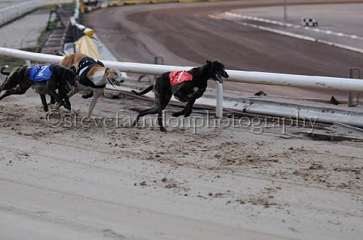 dogsaug8_0072.jpg - (C)S.FARNDON