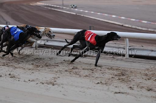 dogsaug8_0073.jpg - (C)S.FARNDON