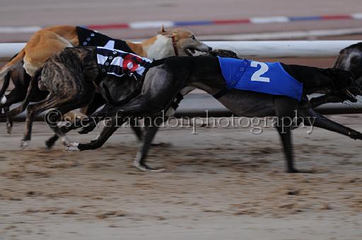 dogsaug8_0075.jpg - (C)S.FARNDON