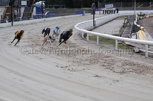 dogsaug8_0079.jpg - (C)S.FARNDON