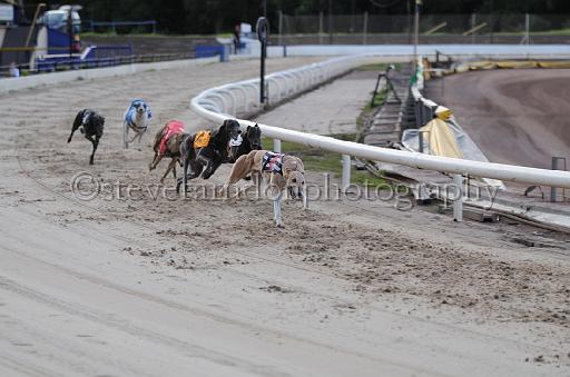dogsaug8_0087.jpg - (C)S.FARNDON