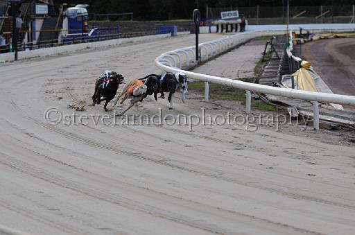 dogsaug8_0096.jpg - (C)S.FARNDON