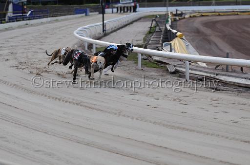 dogsaug8_0097.jpg - (C)S.FARNDON