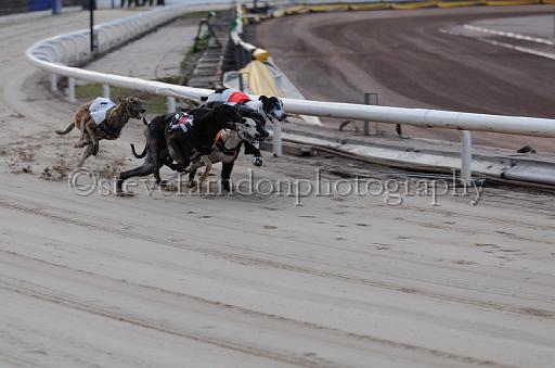dogsaug8_0098.jpg - (C)S.FARNDON