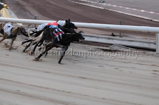 dogsaug8_0099.jpg - (C)S.FARNDON