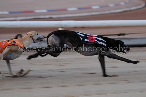 dogsaug8_0102.jpg - (C)S.FARNDON