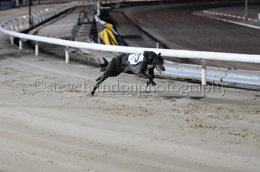 dogsaug8_0144.jpg - (C)S.FARNDON
