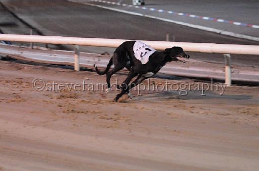 dogsaug8_0145.jpg - (C)S.FARNDON