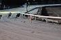 dogsaug8_0027