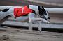 dogsaug8_0109