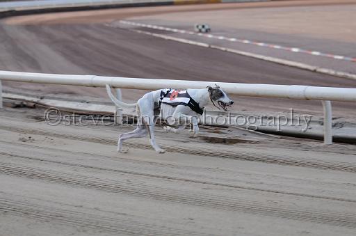 dogsaug9_0003.jpg - (C)S.FARNDON
