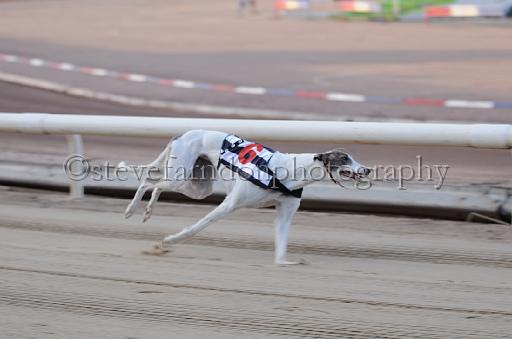 dogsaug9_0004.jpg - (C)S.FARNDON