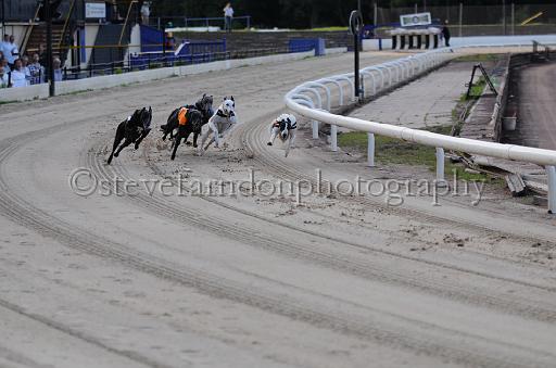 dogsaug9_0012.jpg - (C)S.FARNDON