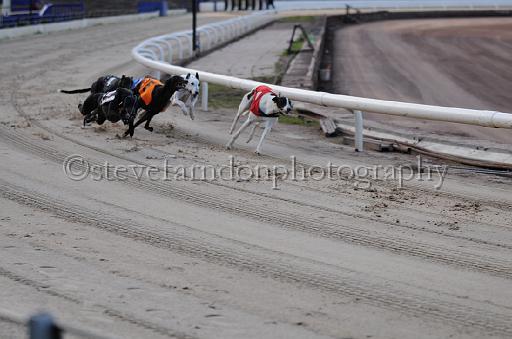 dogsaug9_0014.jpg - (C)S.FARNDON
