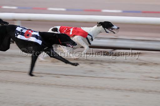 dogsaug9_0016.jpg - (C)S.FARNDON