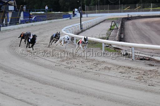 dogsaug9_0019.jpg - (C)S.FARNDON