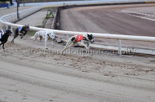 dogsaug9_0021.jpg - (C)S.FARNDON