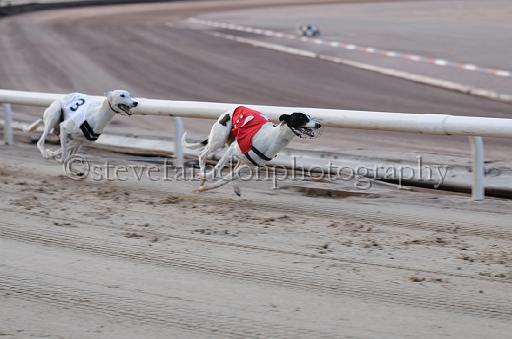 dogsaug9_0022.jpg - (C)S.FARNDON