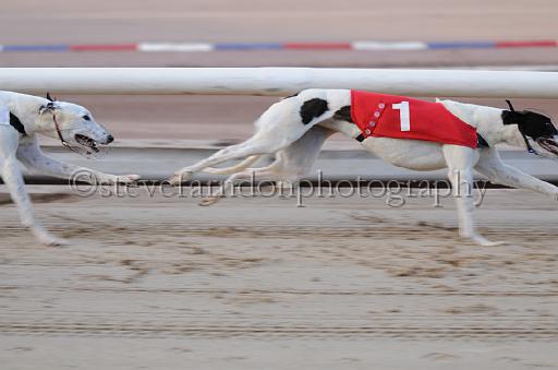 dogsaug9_0025.jpg - (C)S.FARNDON