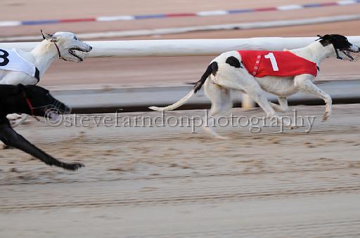 dogsaug9_0026.jpg - (C)S.FARNDON