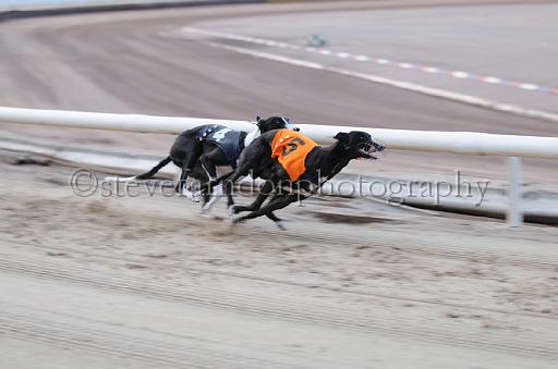 dogsaug9_0031.jpg - (C)S.FARNDON