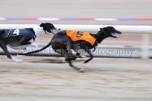 dogsaug9_0033.jpg - (C)S.FARNDON