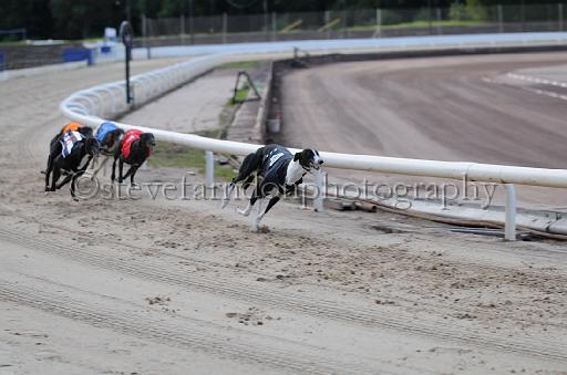 dogsaug9_0036.jpg - (C)S.FARNDON