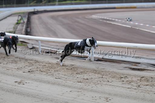 dogsaug9_0037.jpg - (C)S.FARNDON