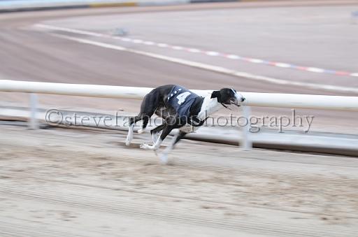 dogsaug9_0038.jpg - (C)S.FARNDON