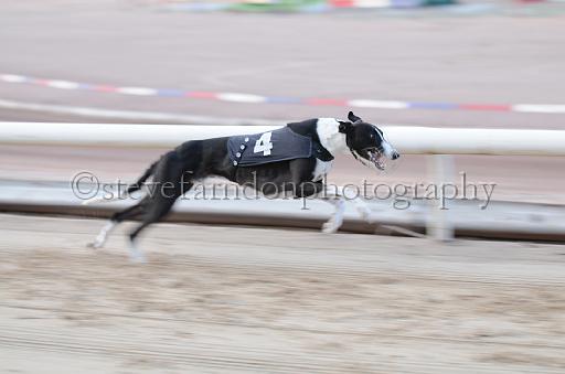 dogsaug9_0039.jpg - (C)S.FARNDON