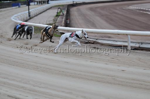 dogsaug9_0044.jpg - (C)S.FARNDON