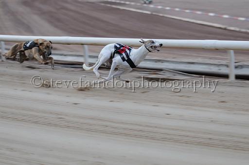 dogsaug9_0045.jpg - (C)S.FARNDON