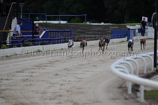 dogsaug9_0050.jpg - (C)S.FARNDON