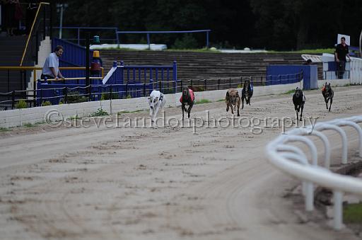 dogsaug9_0051.jpg - (C)S.FARNDON