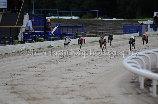 dogsaug9_0052.jpg - (C)S.FARNDON