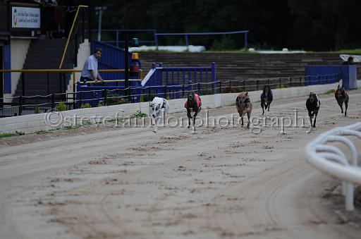 dogsaug9_0053.jpg - (C)S.FARNDON