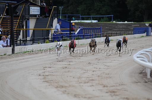 dogsaug9_0054.jpg - (C)S.FARNDON