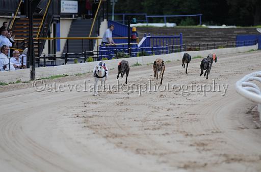 dogsaug9_0055.jpg - (C)S.FARNDON