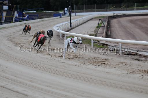 dogsaug9_0057.jpg - (C)S.FARNDON
