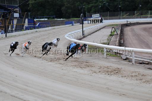 dogsaug9_0067.jpg - (C)S.FARNDON